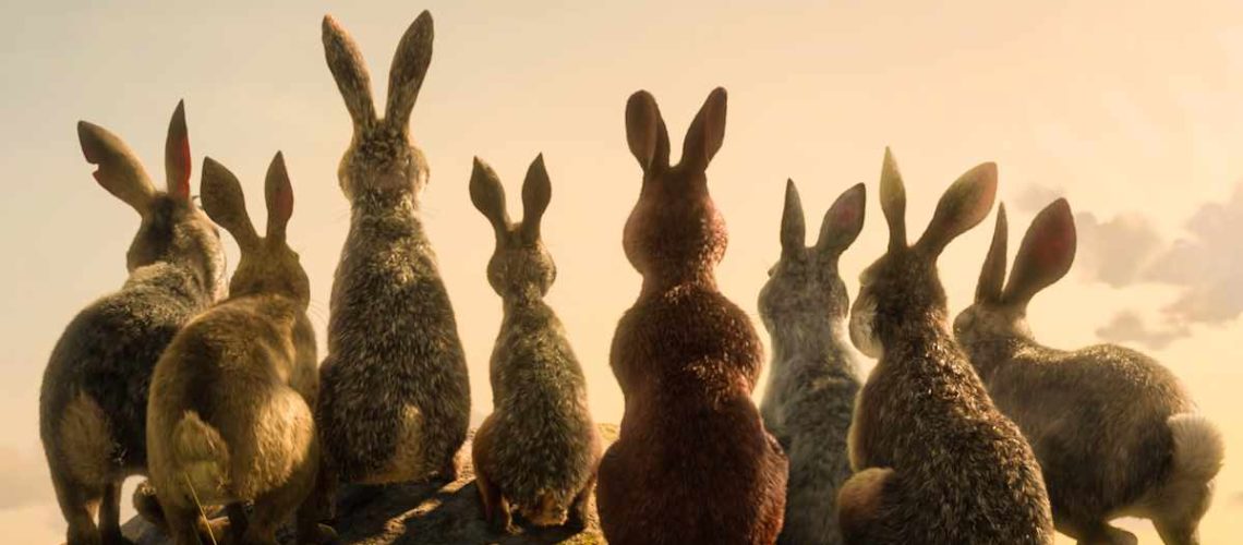 Netflix tra i conigli: analisi di un adattamento